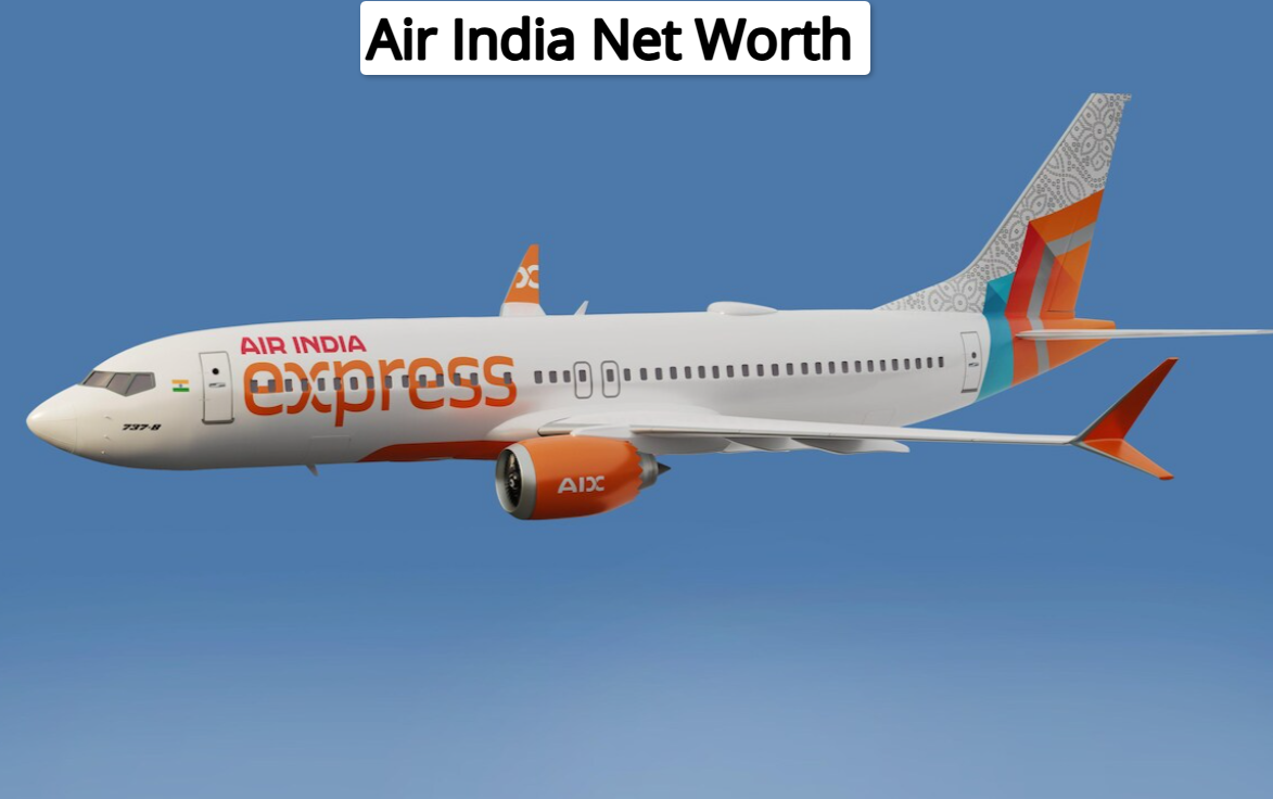 Air India Net Worth