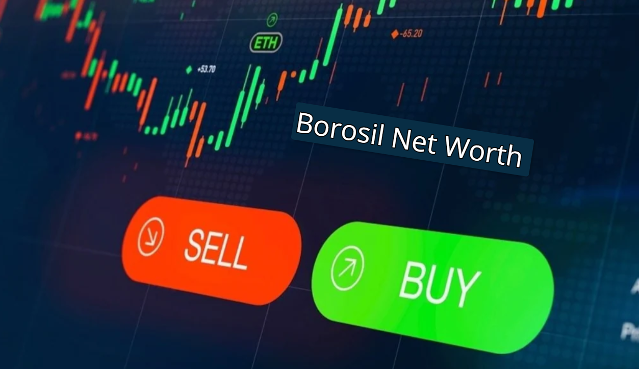 Borosil Net Worth