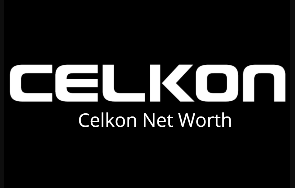 Celkon Net Worth